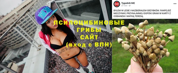 метадон Новодвинск