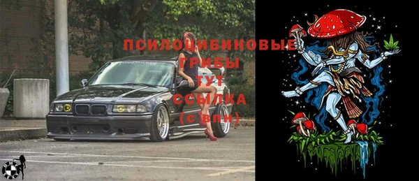 ECSTASY Новокубанск