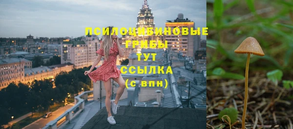 COCAINE Новозыбков